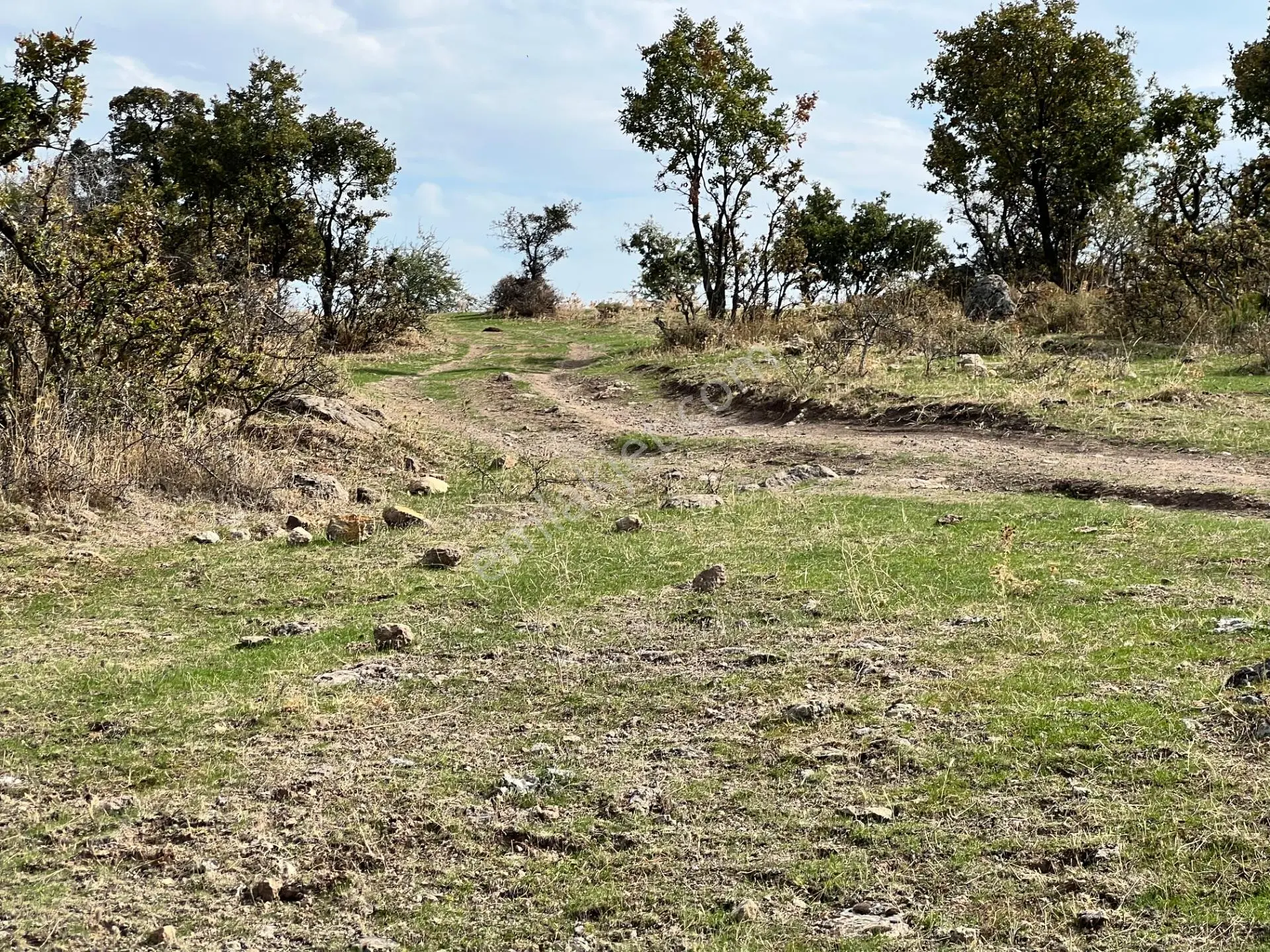 Havran Eğmir’de 4.704 M² Yola Yakın, Araçla Girilebilir Satılık Tarla — fotoğraf 2