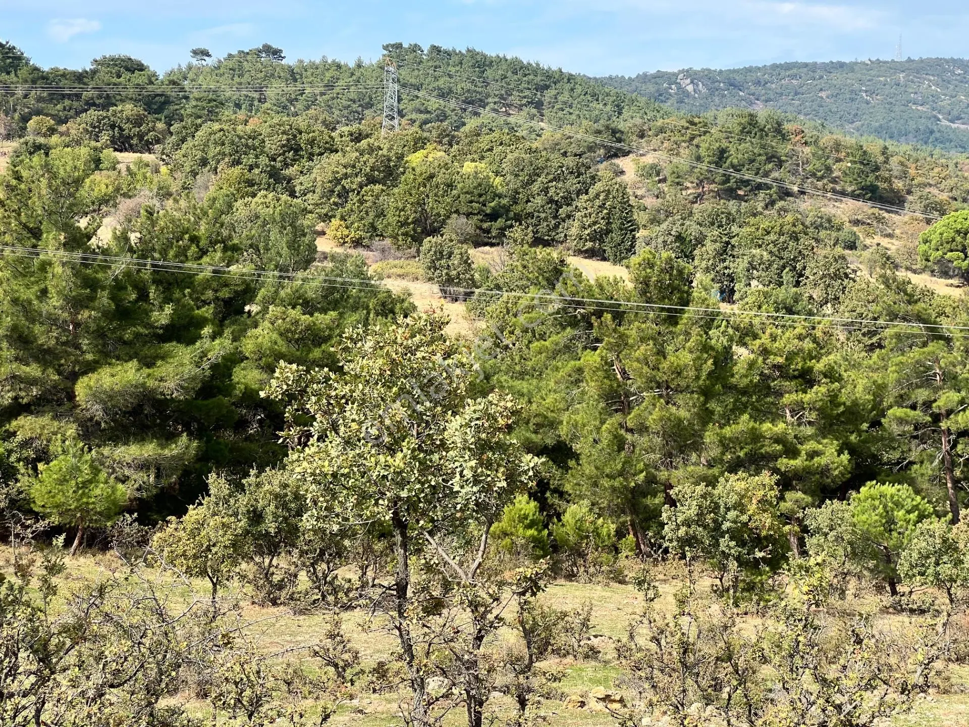 Havran Eğmir’de 4.704 M² Yola Yakın, Araçla Girilebilir Satılık Tarla — fotoğraf 4
