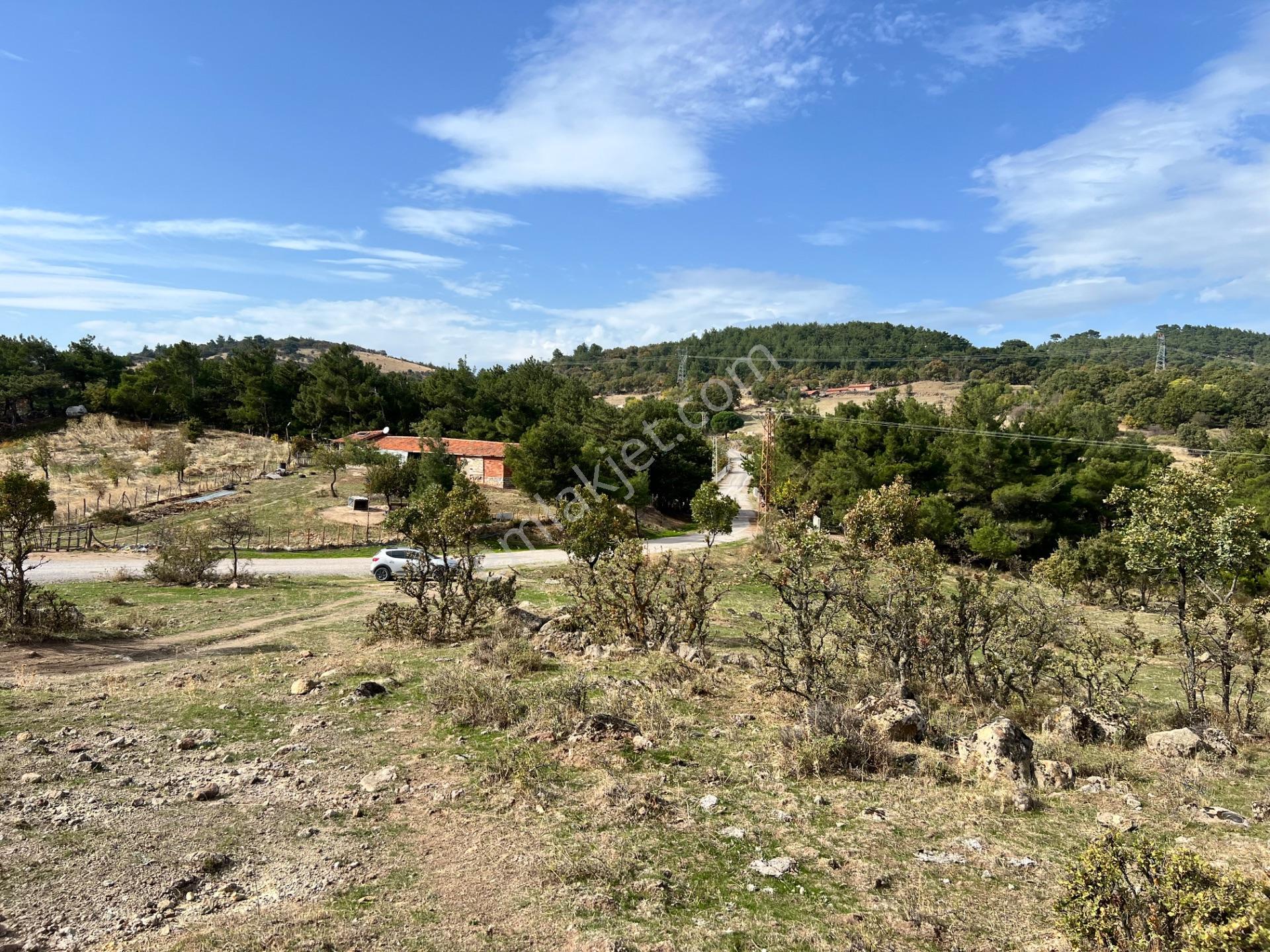 Havran Eğmir’de 4.704 M² Yola Yakın, Araçla Girilebilir Satılık Tarla — fotoğraf 6