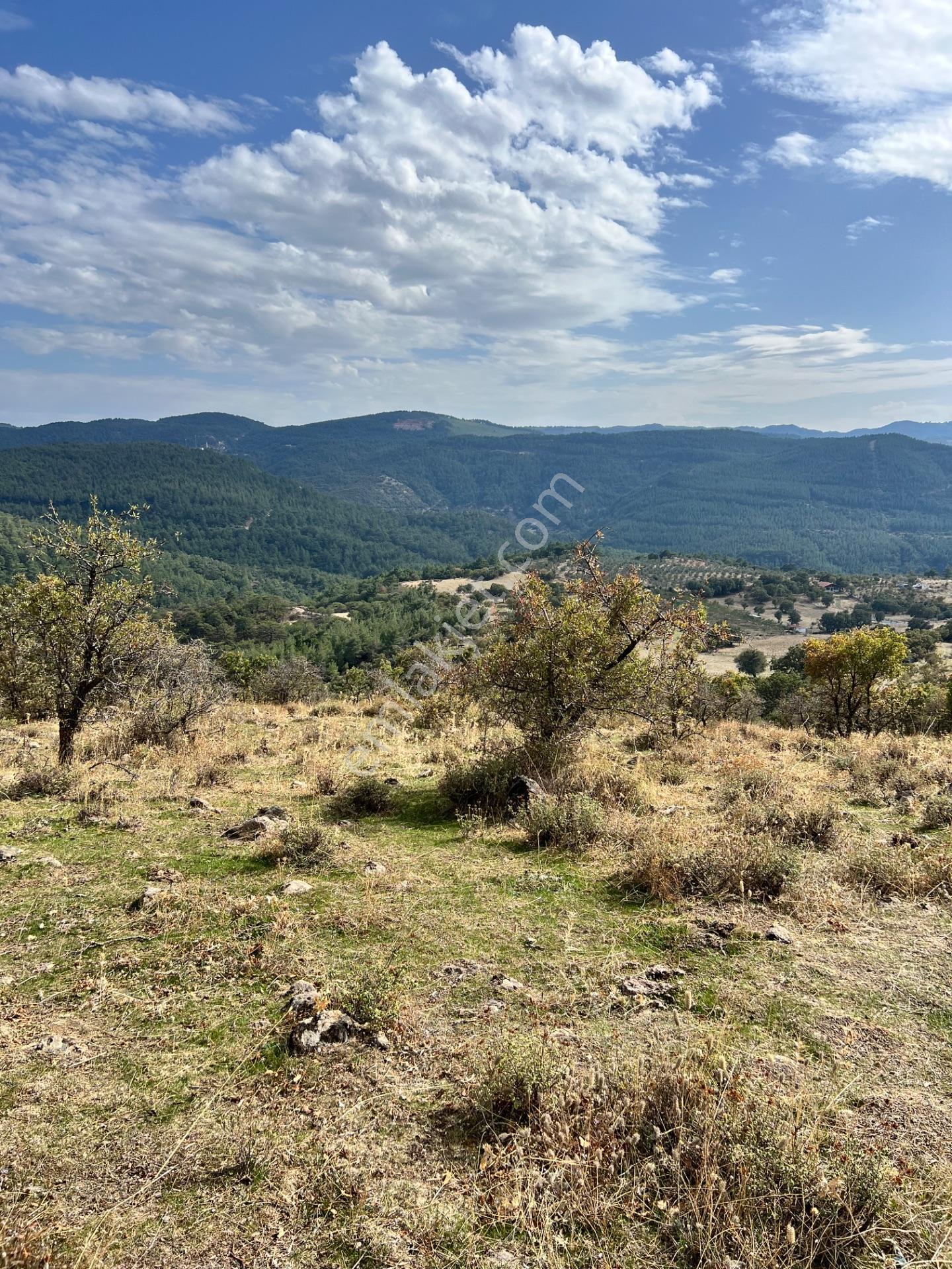 Havran Eğmir’de 4.704 M² Yola Yakın, Araçla Girilebilir Satılık Tarla — fotoğraf 23