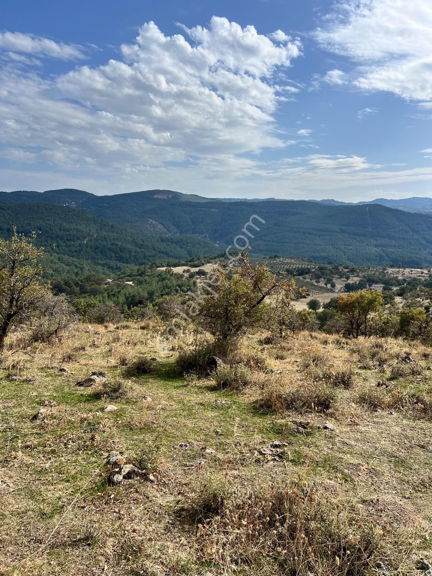 Havran Eğmir’de 4.704 M² Yola Yakın, Araçla Girilebilir Satılık Tarla — fotoğraf 24