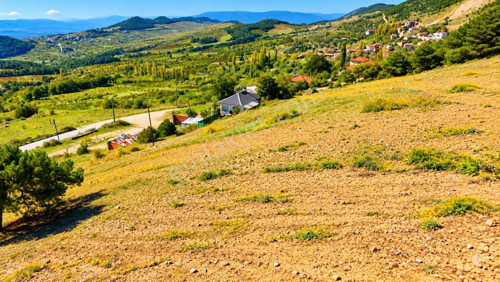 Sakarya Hisarlık 491m2 Arsa İçinde 2 Katlıev Projeli Fırsat Arsa — fotoğraf 5