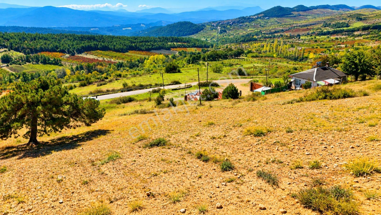 Sakarya Hisarlık 491m2 Arsa İçinde 2 Katlıev Projeli Fırsat Arsa — fotoğraf 6