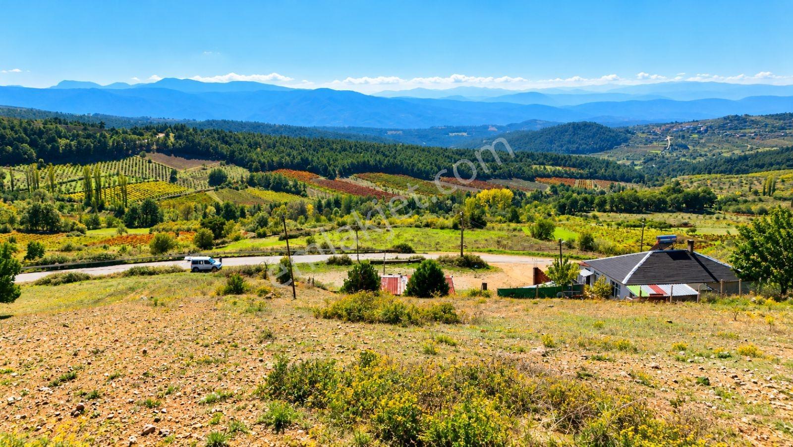 Sakarya Hisarlık 491m2 Arsa İçinde 2 Katlıev Projeli Fırsat Arsa — fotoğraf 7