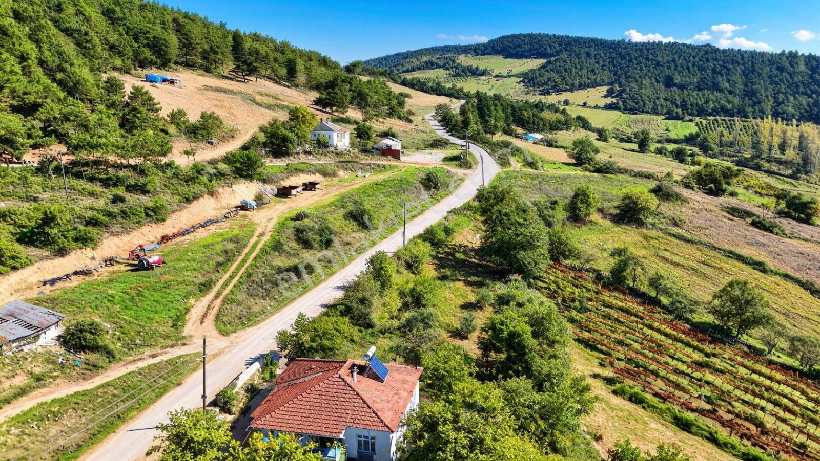 Sakarya Hisarlık 491m2 Arsa İçinde 2 Katlıev Projeli Fırsat Arsa — fotoğraf 8