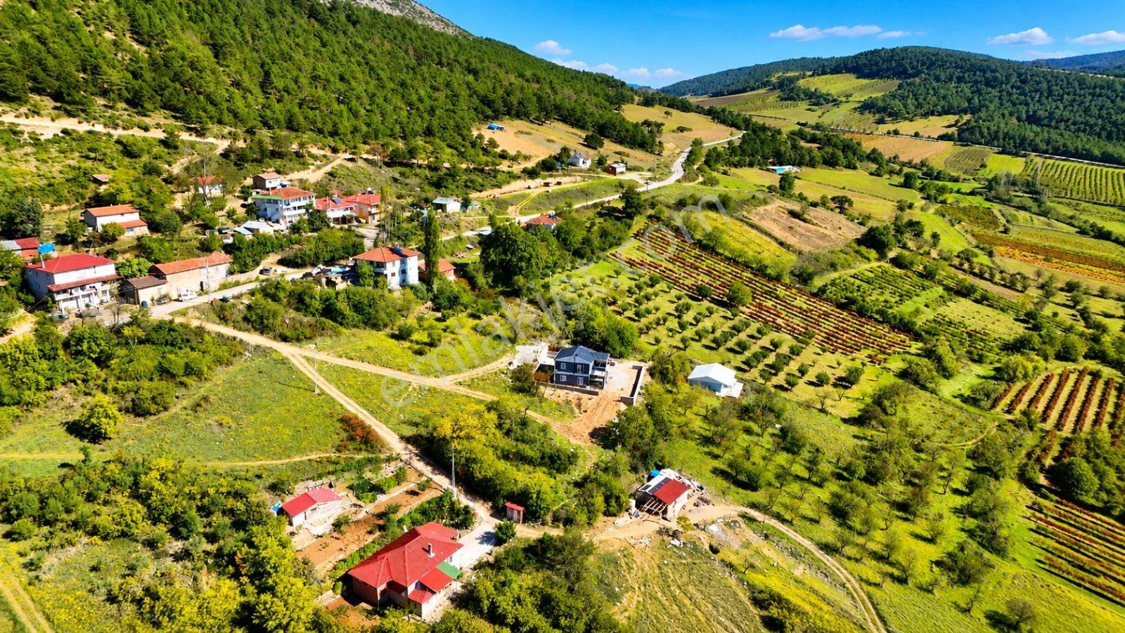 Sakarya Hisarlık 491m2 Arsa İçinde 2 Katlıev Projeli Fırsat Arsa — fotoğraf 10