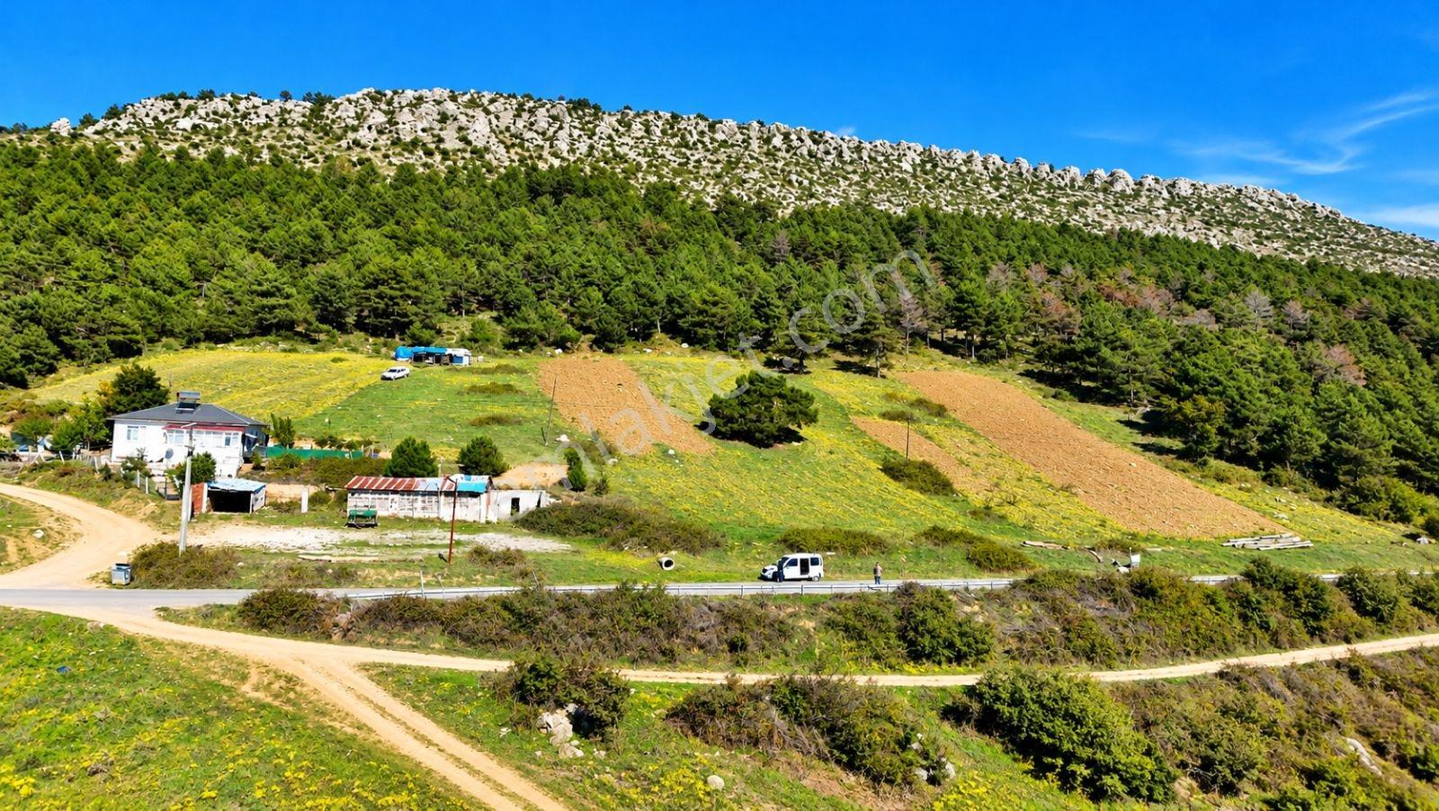 Sakarya Hisarlık 491m2 Arsa İçinde 2 Katlıev Projeli Fırsat Arsa — fotoğraf 12