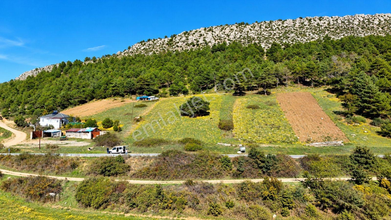 Sakarya Hisarlık 491m2 Arsa İçinde 2 Katlıev Projeli Fırsat Arsa — fotoğraf 13
