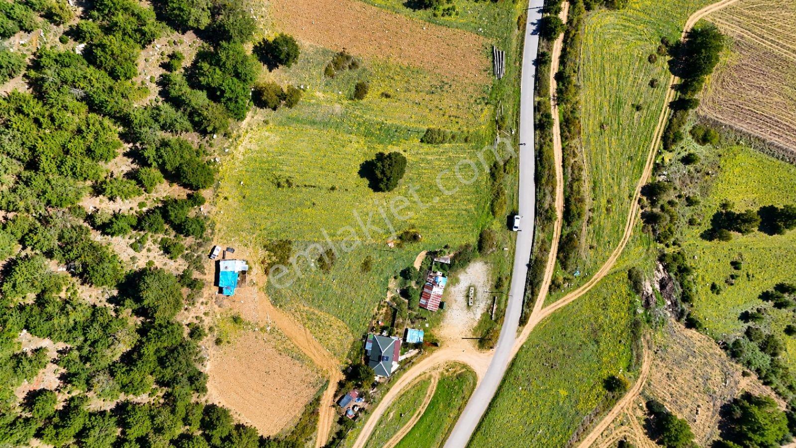 Sakarya Hisarlık 491m2 Arsa İçinde 2 Katlıev Projeli Fırsat Arsa — fotoğraf 14