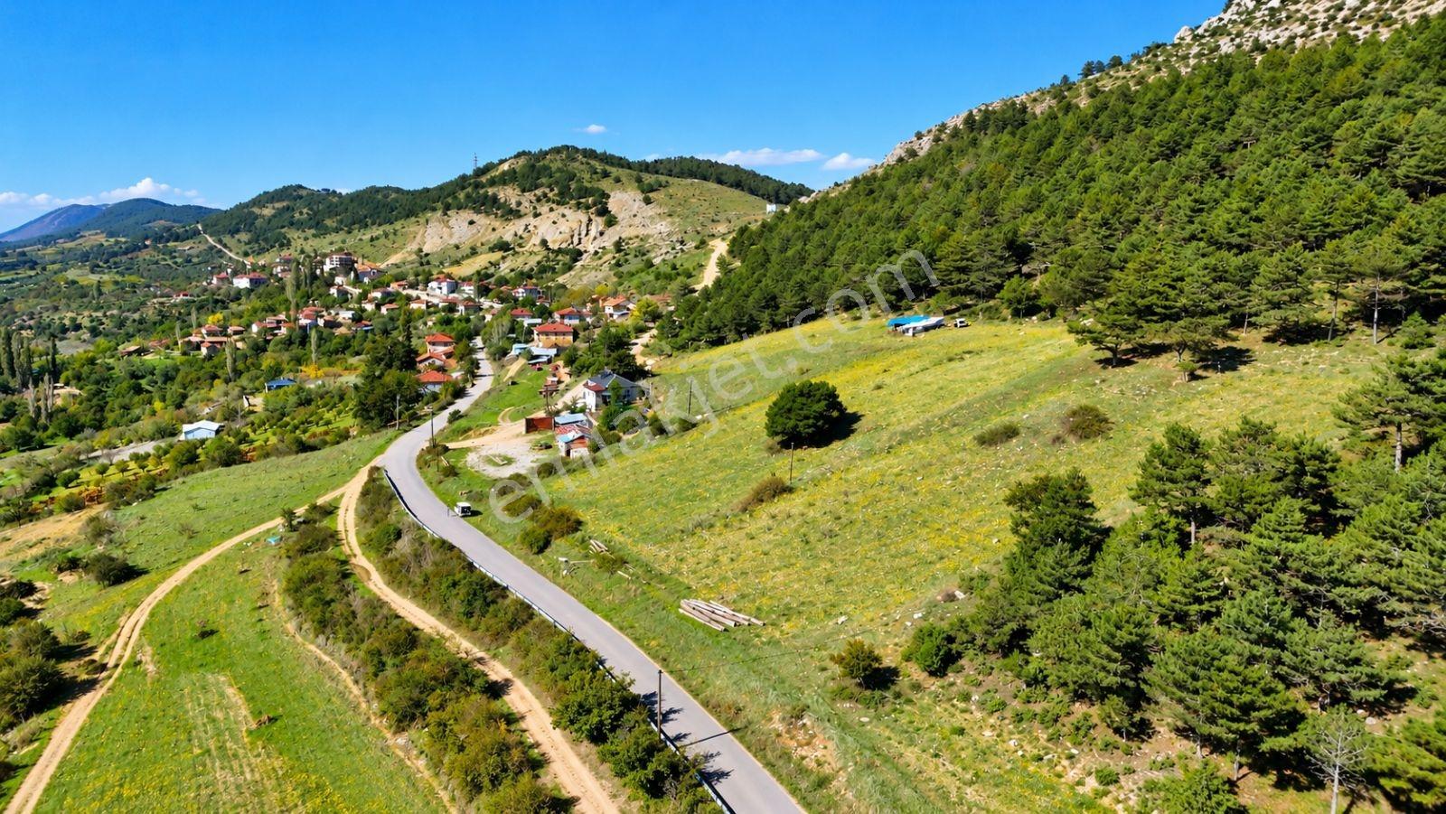 Sakarya Hisarlık 491m2 Arsa İçinde 2 Katlıev Projeli Fırsat Arsa — fotoğraf 15