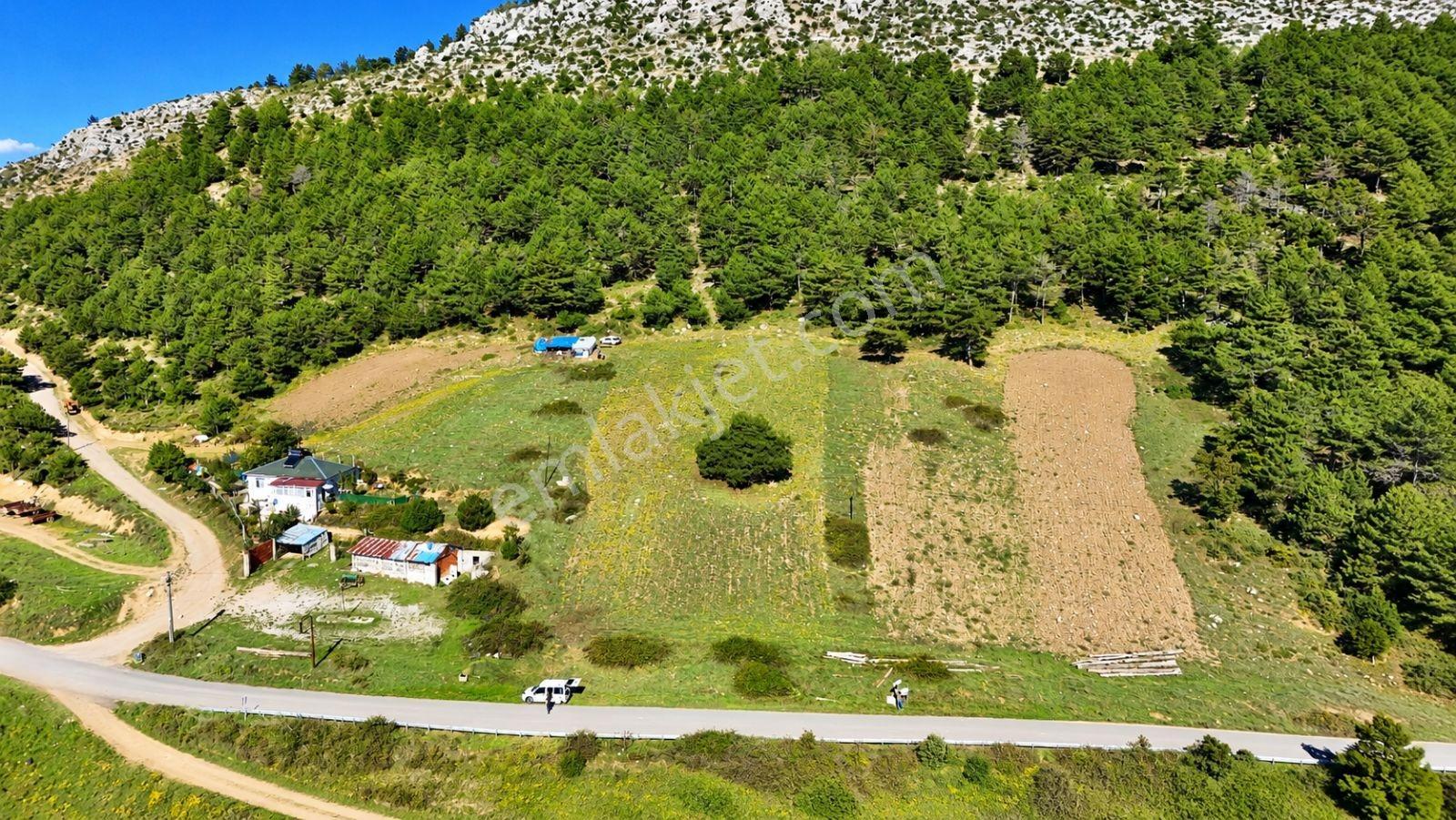 Sakarya Hisarlık 491m2 Arsa İçinde 2 Katlıev Projeli Fırsat Arsa — fotoğraf 16