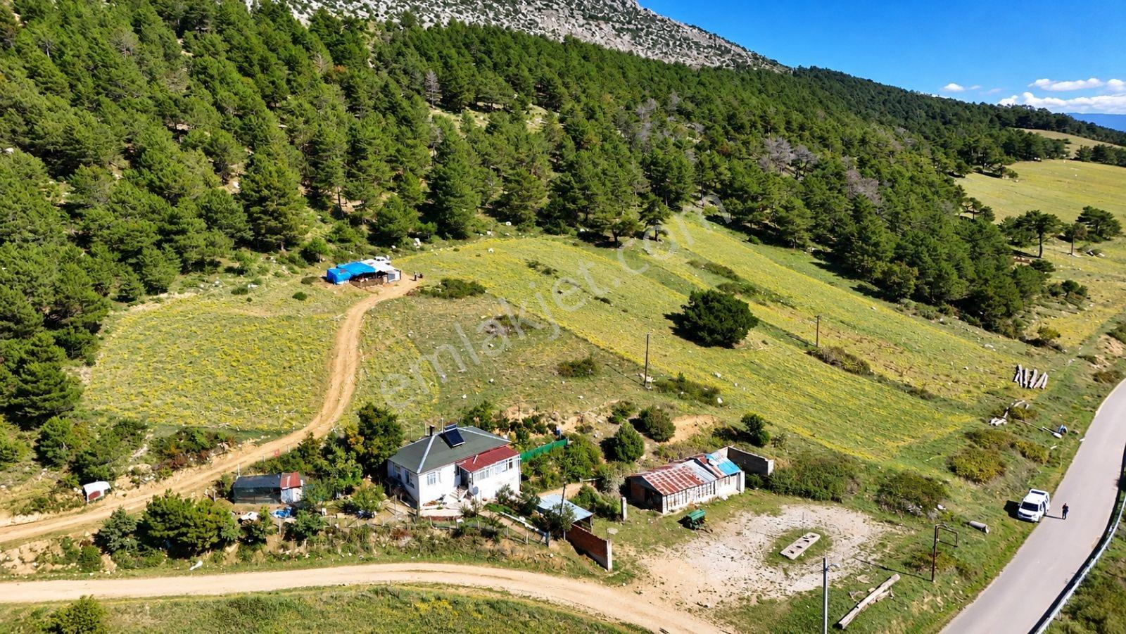 Sakarya Hisarlık 491m2 Arsa İçinde 2 Katlıev Projeli Fırsat Arsa — fotoğraf 17