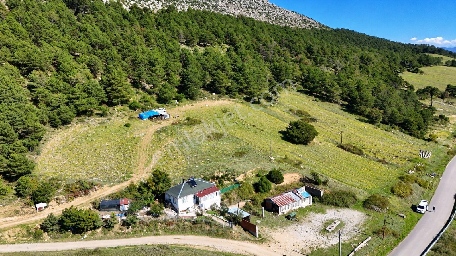 Sakarya Hisarlık 491m2 Arsa İçinde 2 Katlıev Projeli Fırsat Arsa — fotoğraf 18