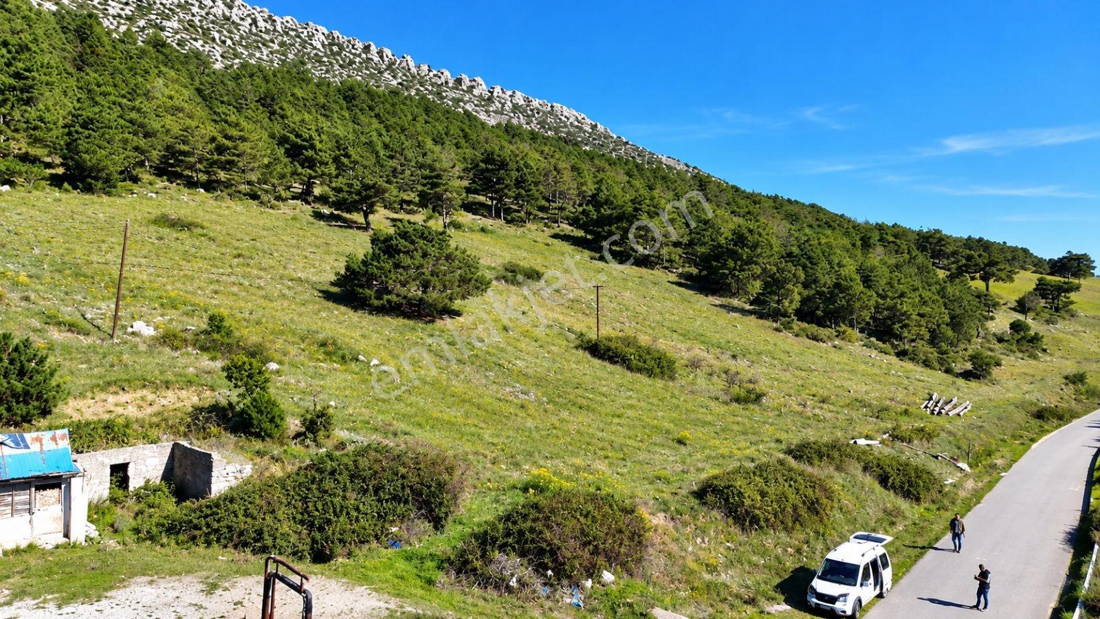 Sakarya Hisarlık 491m2 Arsa İçinde 2 Katlıev Projeli Fırsat Arsa — fotoğraf 19