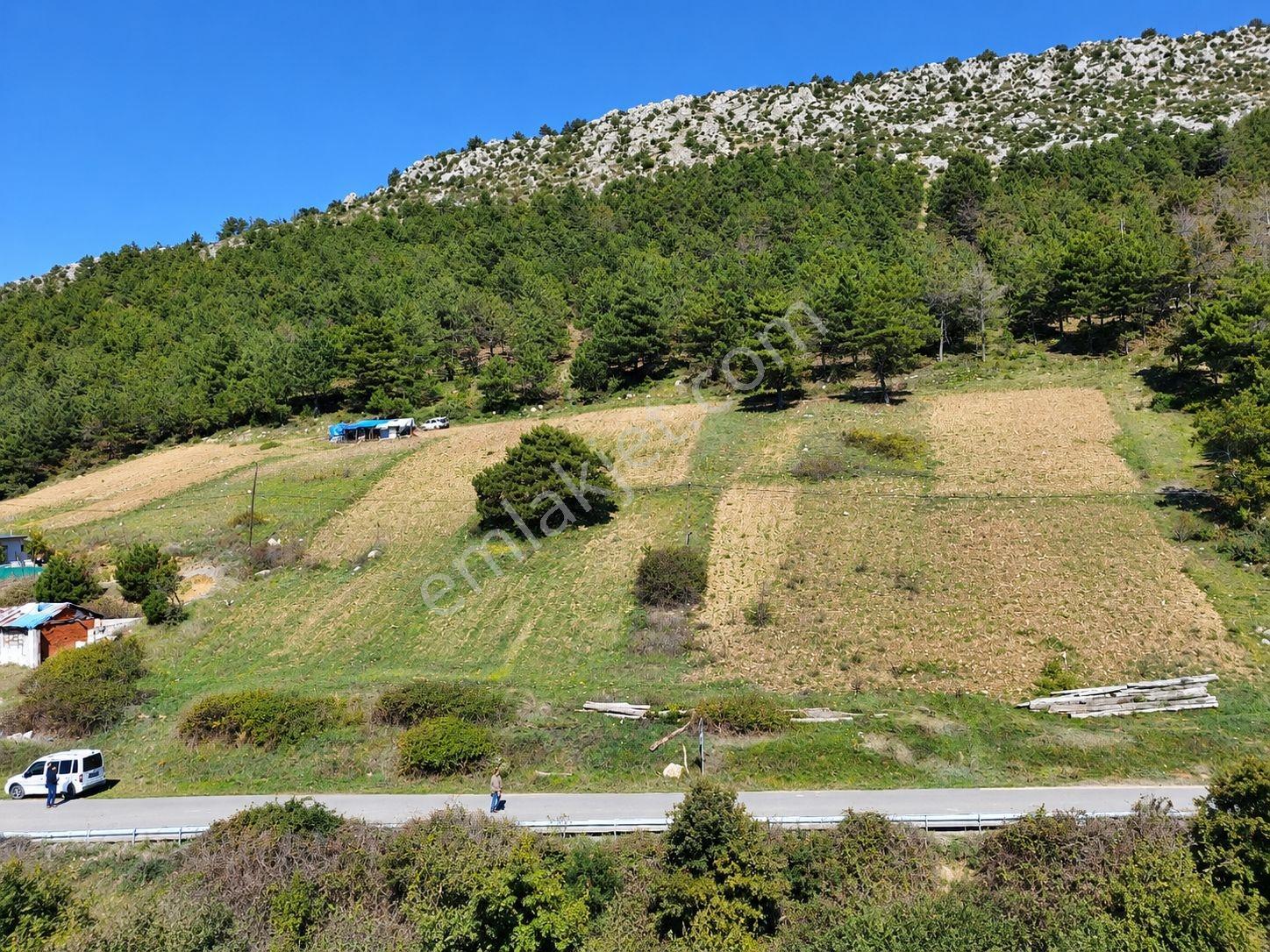 Sakarya Hisarlık 491m2 Arsa İçinde 2 Katlıev Projeli Fırsat Arsa — fotoğraf 20