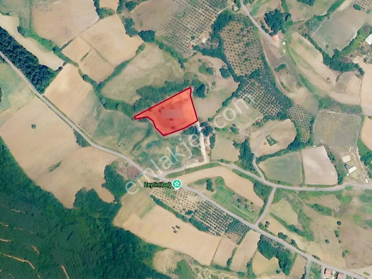 Yalova Akköyde İmar Sınırında 8.180 M² Müstakil Tapulu Arazi — fotoğraf 3
