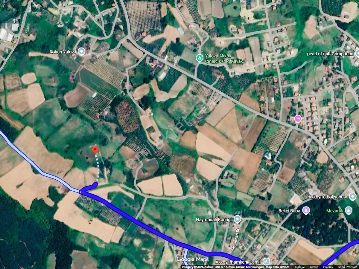 Yalova Akköyde İmar Sınırında 8.180 M² Müstakil Tapulu Arazi — fotoğraf 4