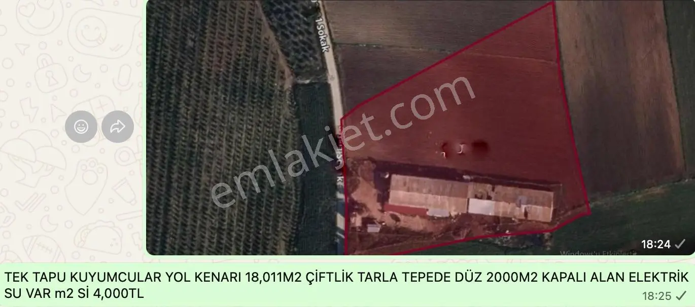 Yüreğir (abdioğlu-çağırkanlı-çotlu-innaplı) Limon Greyfurt Nar Bahçeleri Seyhan Çukurova Açıklamada — fotoğraf 2