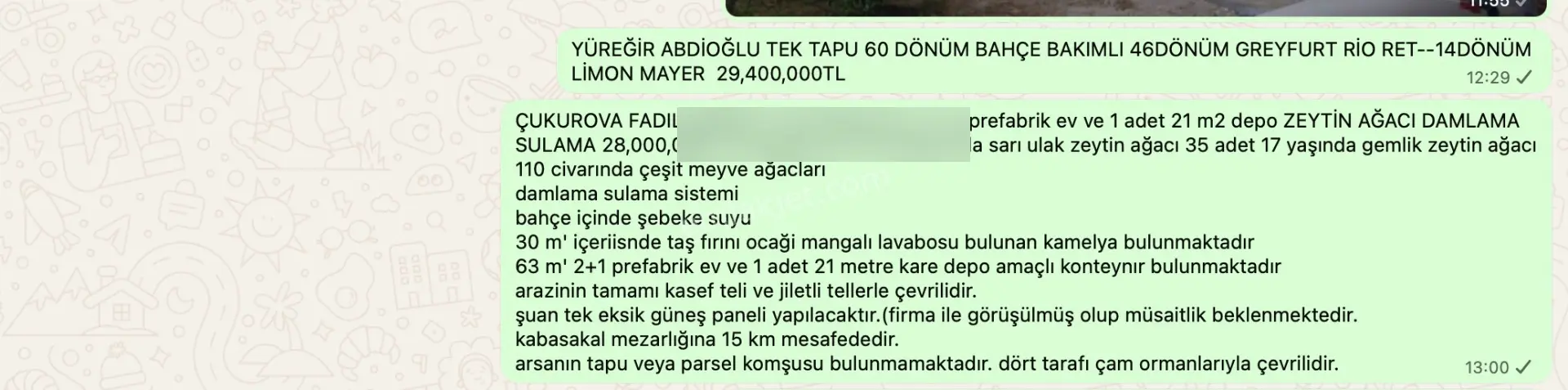 Yüreğir (abdioğlu-çağırkanlı-çotlu-innaplı) Limon Greyfurt Nar Bahçeleri Seyhan Çukurova Açıklamada — fotoğraf 3