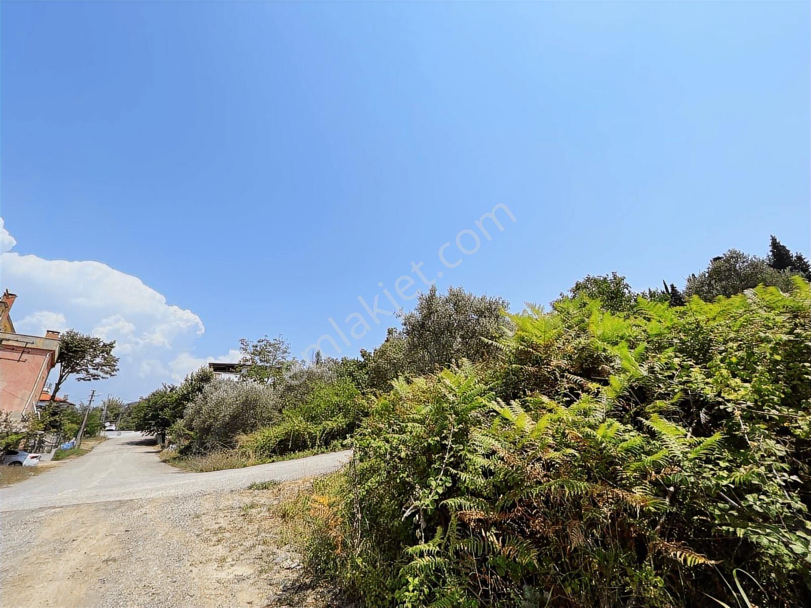 Rw Nova'dan 623 M2 En Uygun M2 Fiyatlı İmarlı Arsa — fotoğraf 3