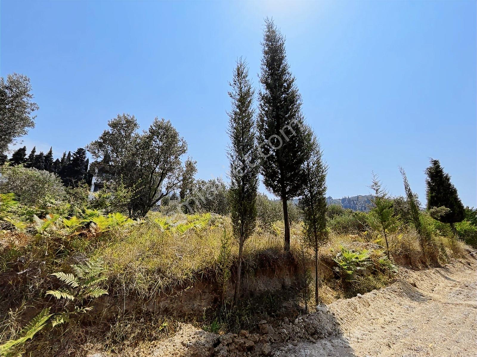Rw Nova'dan 623 M2 En Uygun M2 Fiyatlı İmarlı Arsa — fotoğraf 4