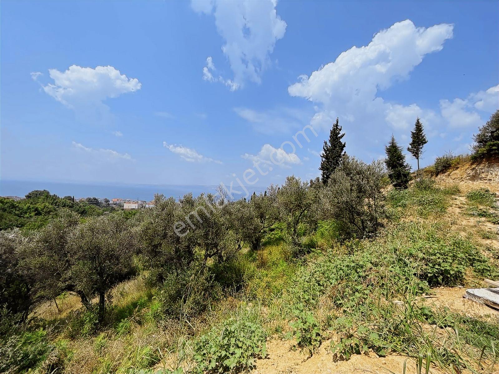 Rw Nova'dan 623 M2 En Uygun M2 Fiyatlı İmarlı Arsa — fotoğraf 6