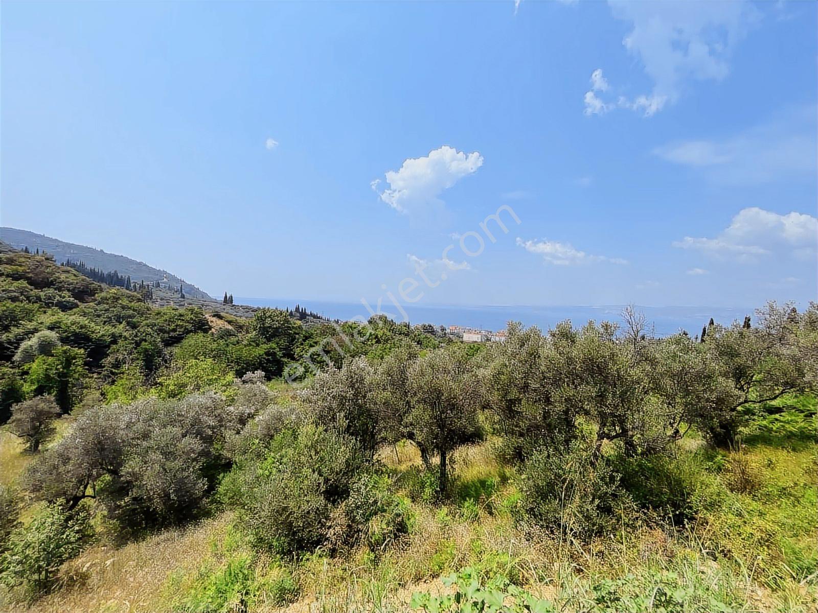 Rw Nova'dan 623 M2 En Uygun M2 Fiyatlı İmarlı Arsa — fotoğraf 7