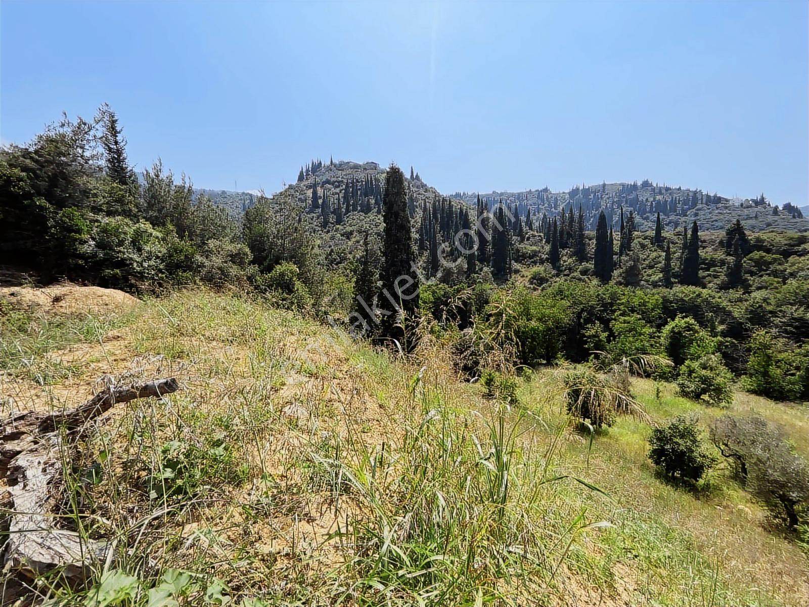 Rw Nova'dan 623 M2 En Uygun M2 Fiyatlı İmarlı Arsa — fotoğraf 8