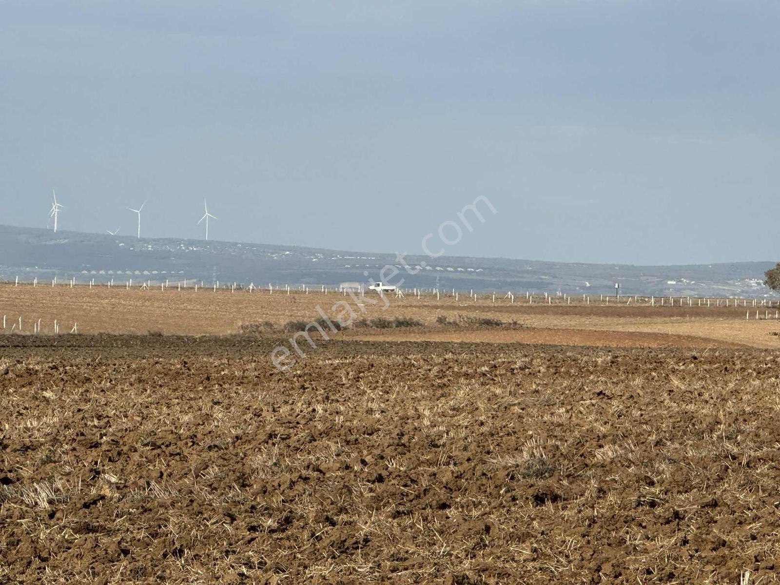 Saray Yuvalı Da 270 M² Arsamız Satışta — fotoğraf 12