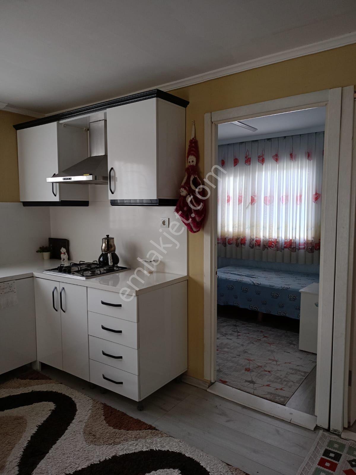 İçinde Evi Olan Bahçe — fotoğraf 8