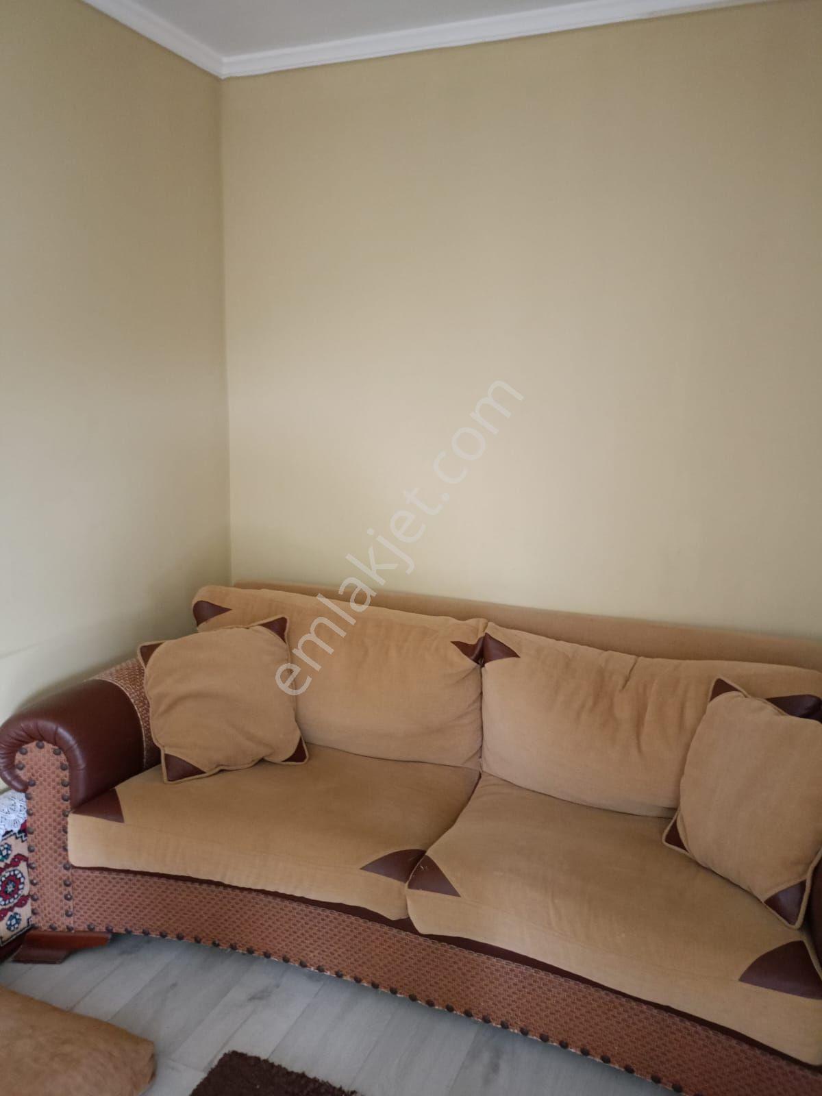 İçinde Evi Olan Bahçe — fotoğraf 12