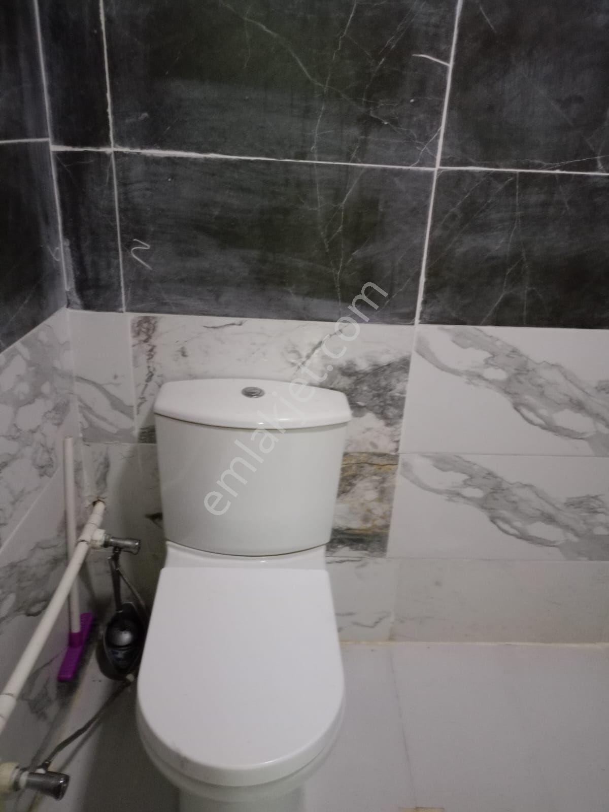 İçinde Evi Olan Bahçe — fotoğraf 16