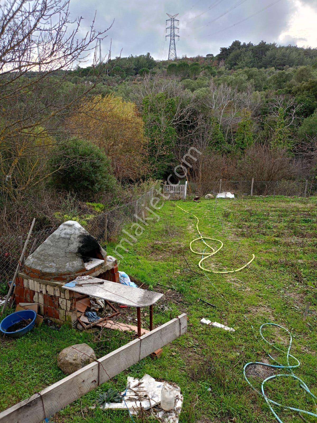 İçinde Evi Olan Bahçe — fotoğraf 19