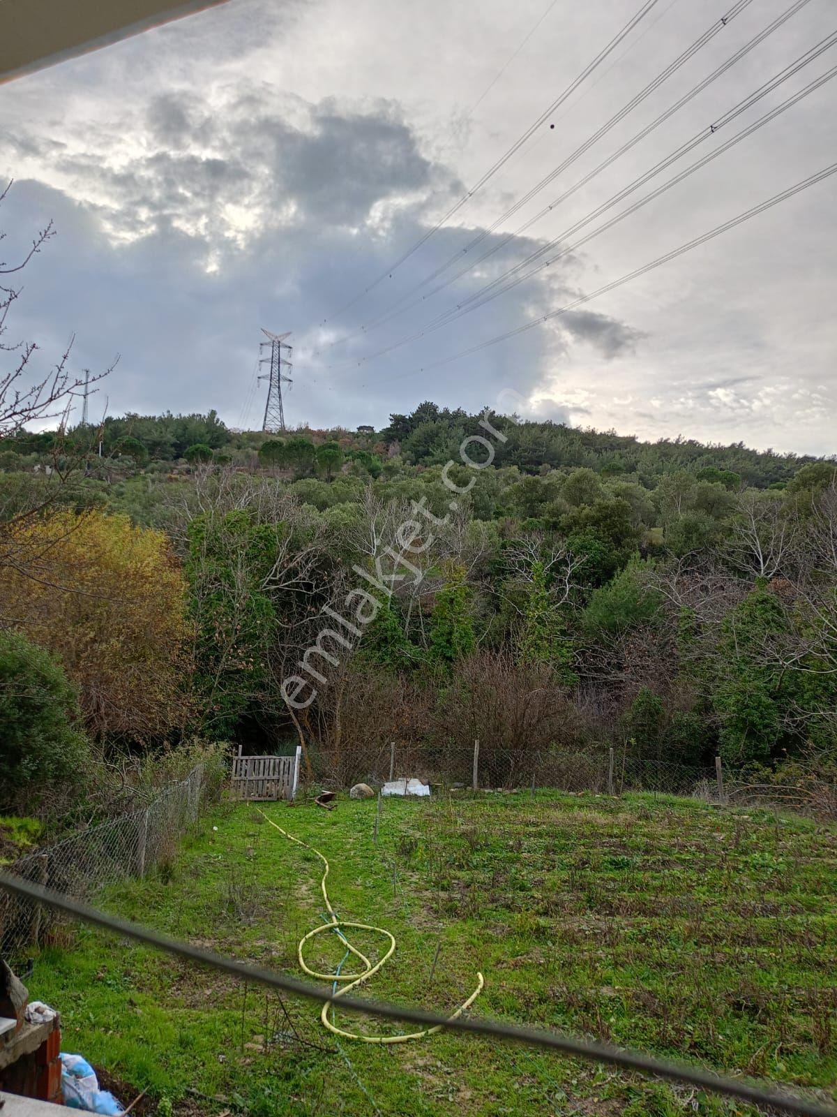 İçinde Evi Olan Bahçe — fotoğraf 20