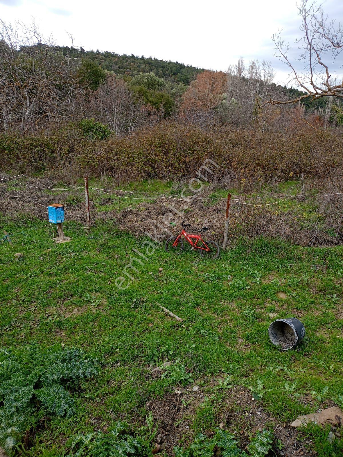 İçinde Evi Olan Bahçe — fotoğraf 21