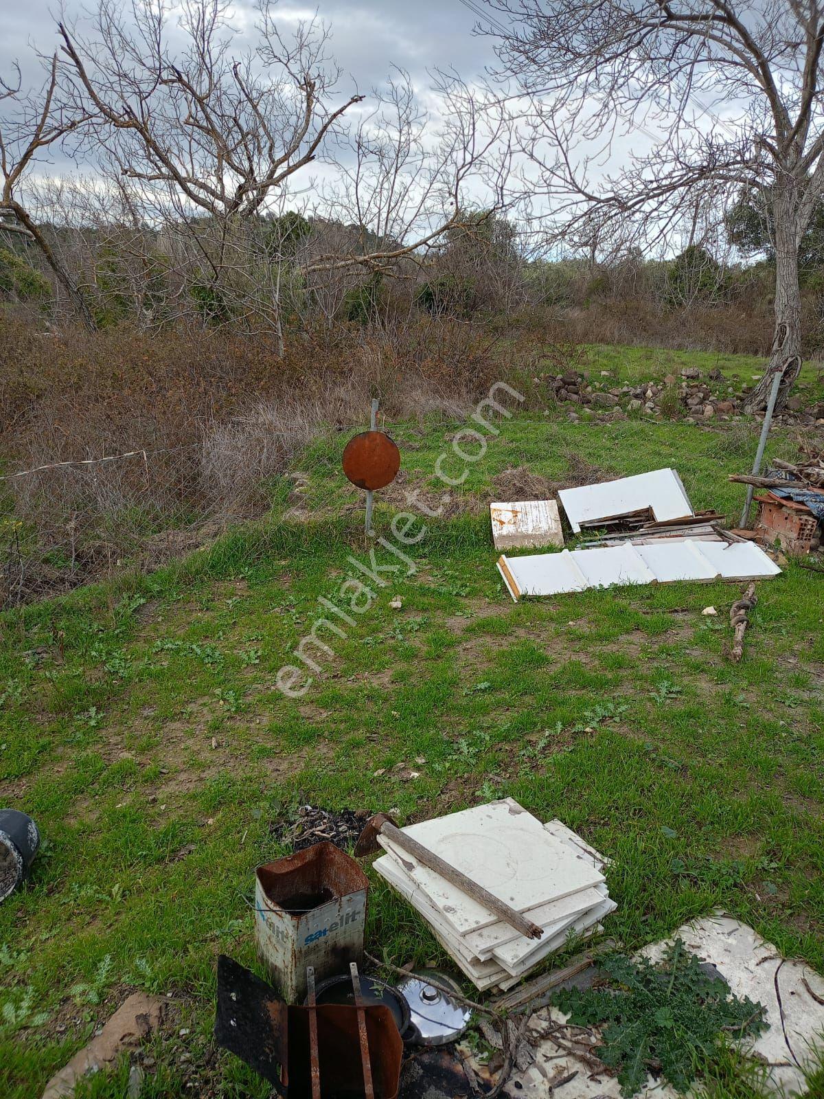 İçinde Evi Olan Bahçe — fotoğraf 22
