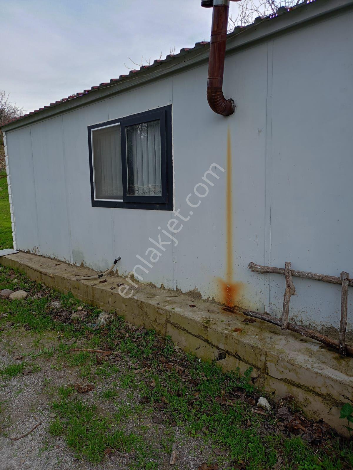 İçinde Evi Olan Bahçe — fotoğraf 23