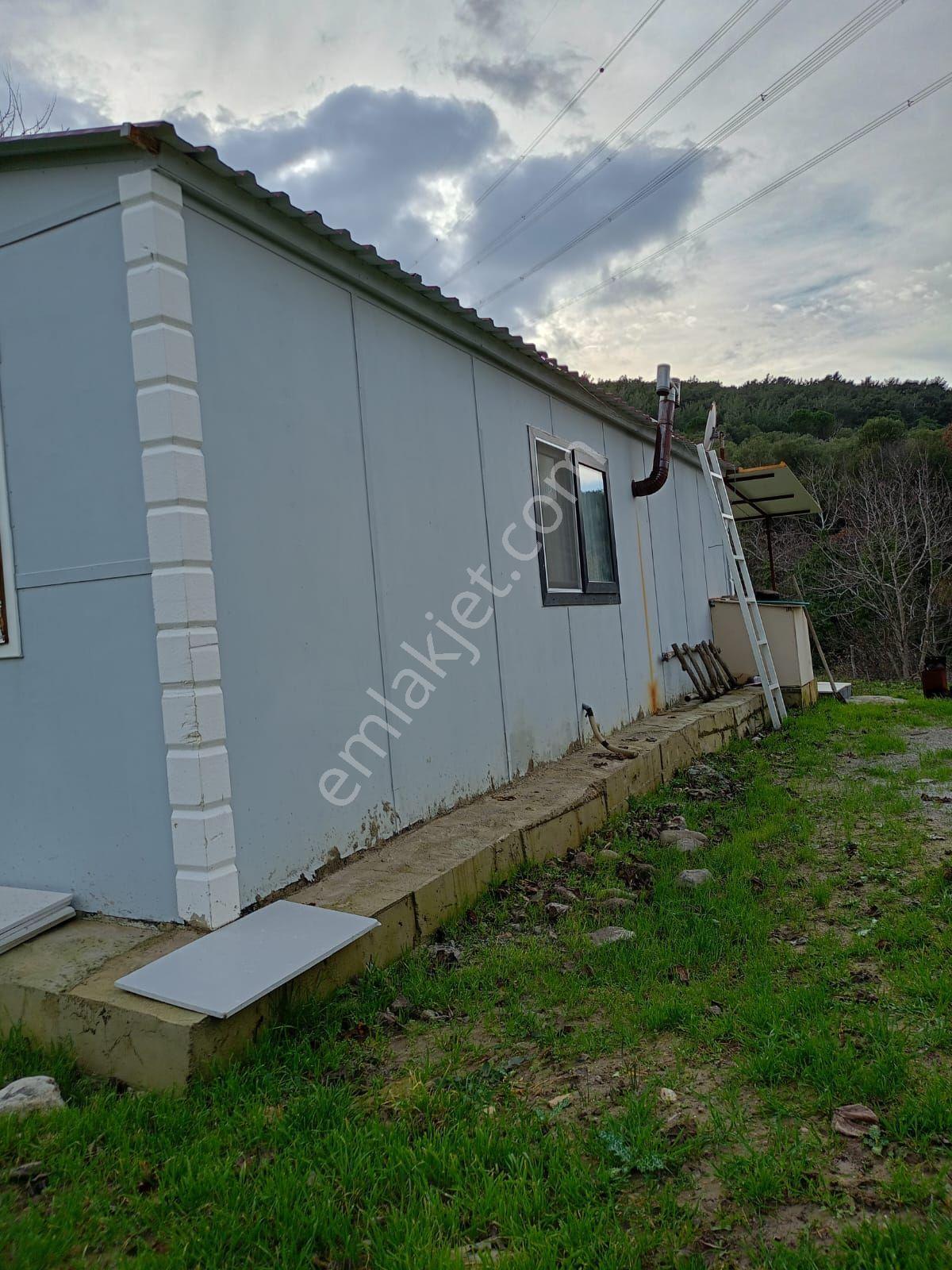 İçinde Evi Olan Bahçe — fotoğraf 24