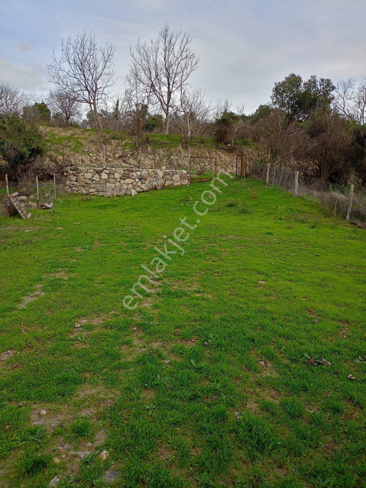 İçinde Evi Olan Bahçe — fotoğraf 25