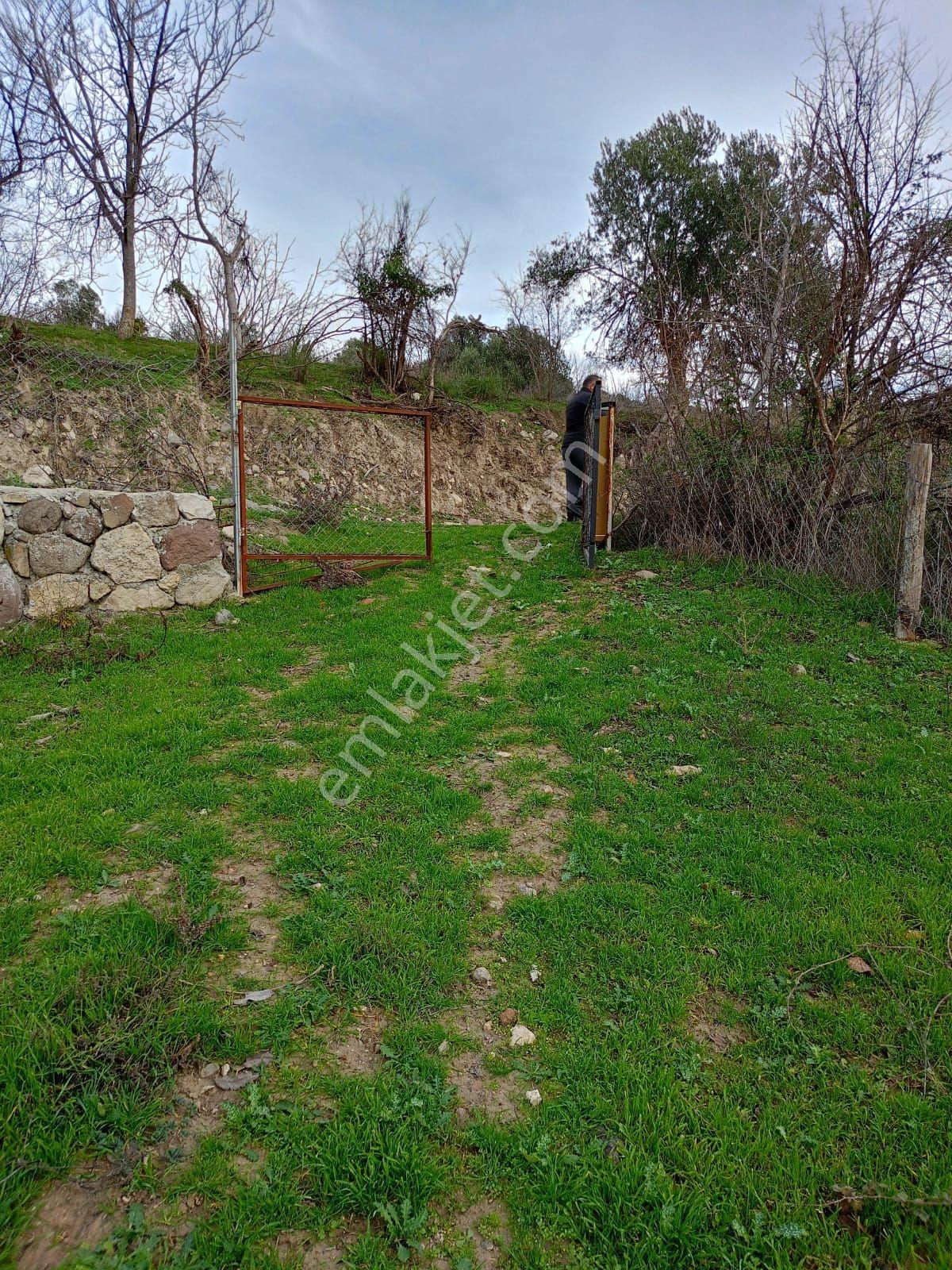İçinde Evi Olan Bahçe — fotoğraf 30
