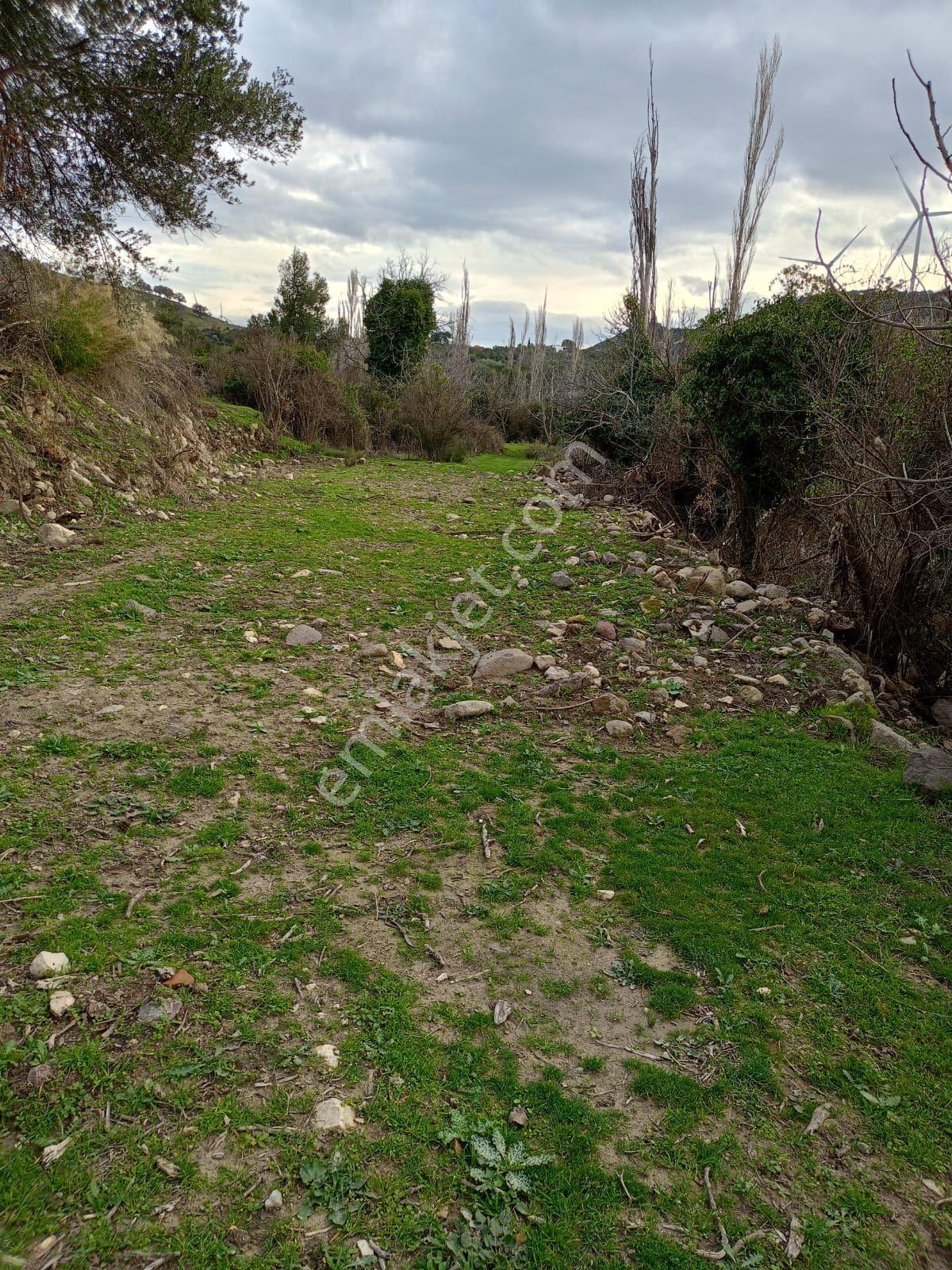 İçinde Evi Olan Bahçe — fotoğraf 32