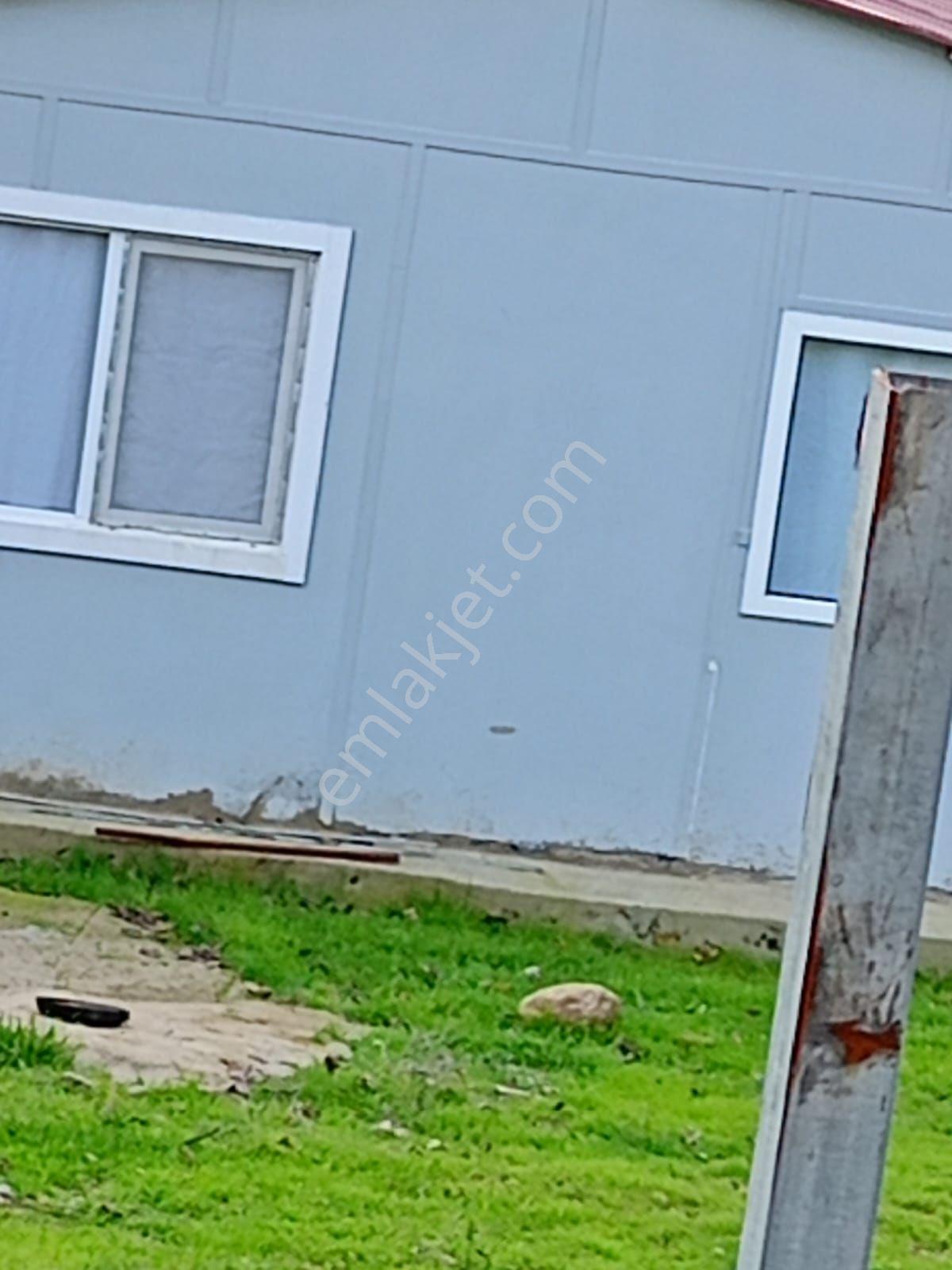 İçinde Evi Olan Bahçe — fotoğraf 33