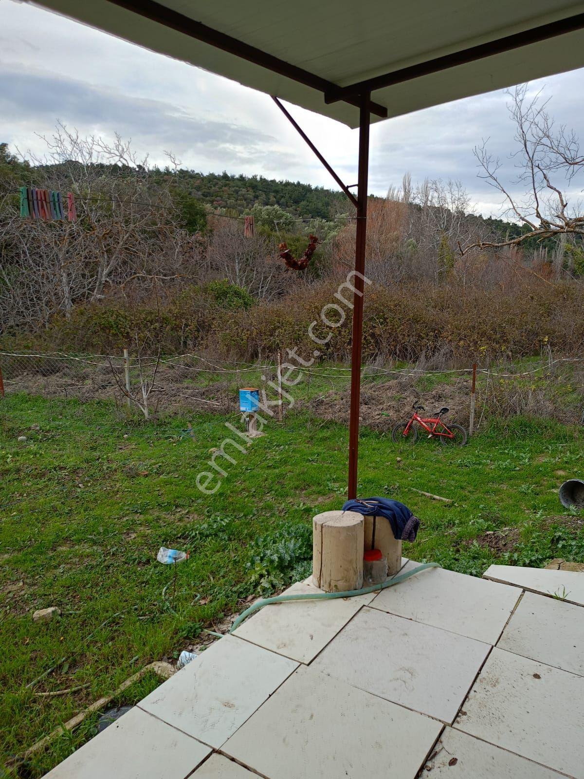 İçinde Evi Olan Bahçe — fotoğraf 35