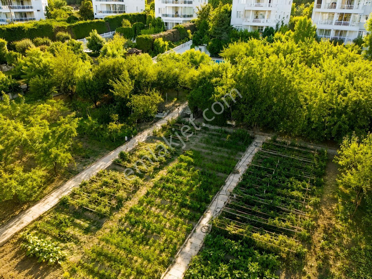 Çatalca İzzettin'de 4013m² Arsalı, Havuzlu, 14 Odalı Süper Villa — fotoğraf 9