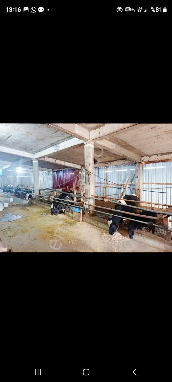 Tepebaşı Gökdere De 12 Dönüm Besihane — fotoğraf 8