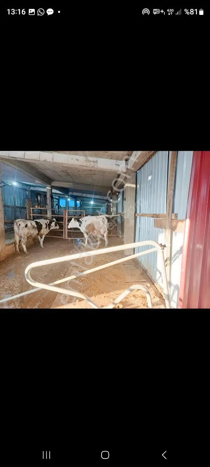 Tepebaşı Gökdere De 12 Dönüm Besihane — fotoğraf 9