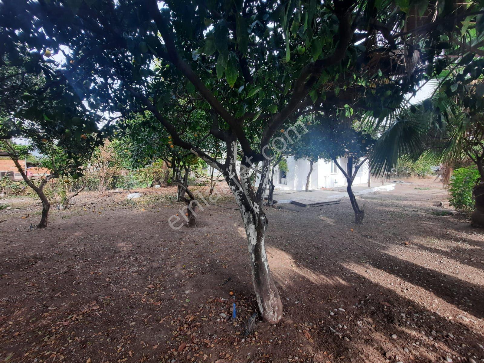 Köyceğiz Köyceğiz Köyünde Müstakil 564 M2 Köy Evi Satılık — fotoğraf 4