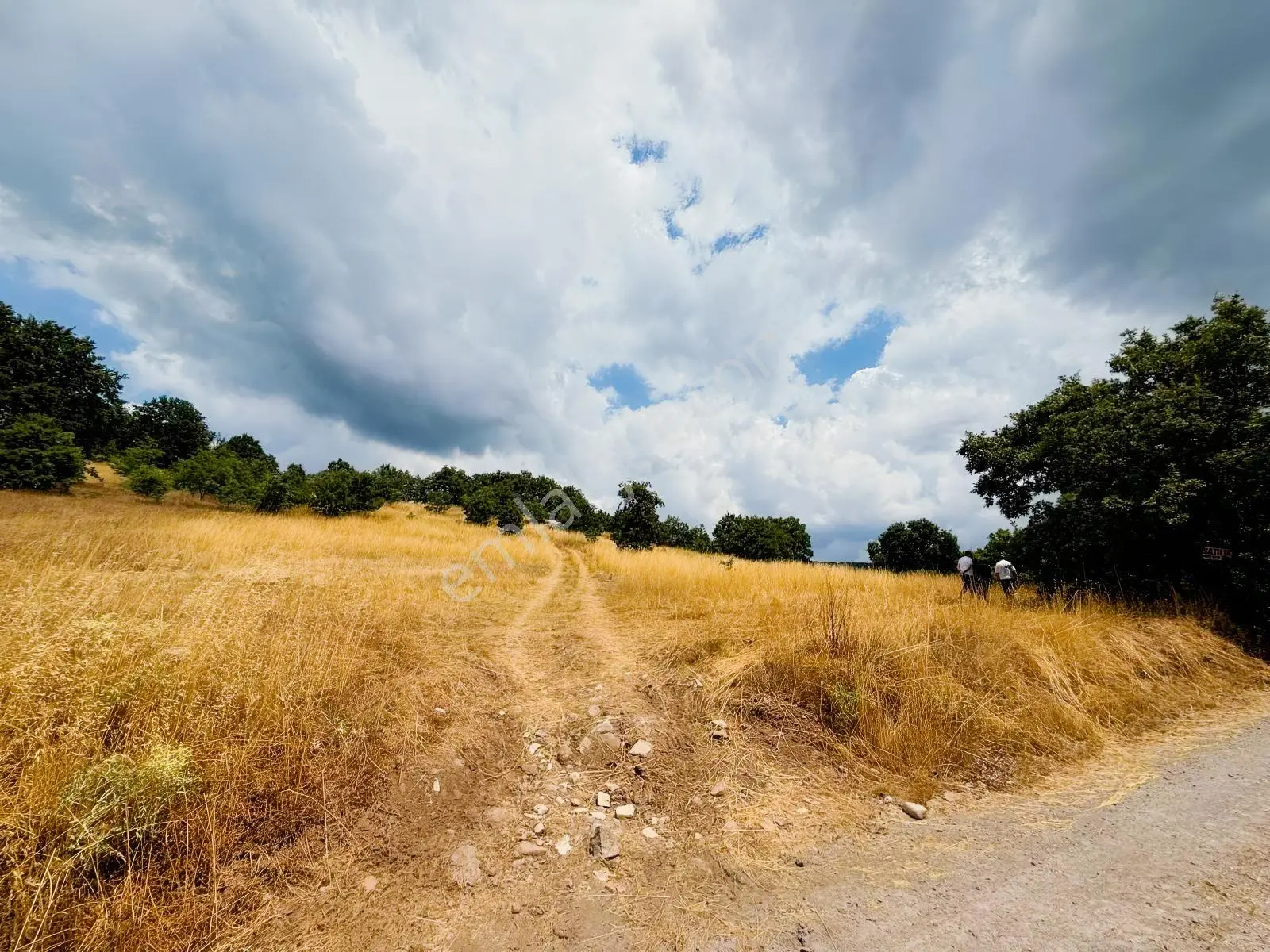 Rw Nova'dan Yola Cephe 4.183 M2 Harika Manzaralı Arazi — fotoğraf 4
