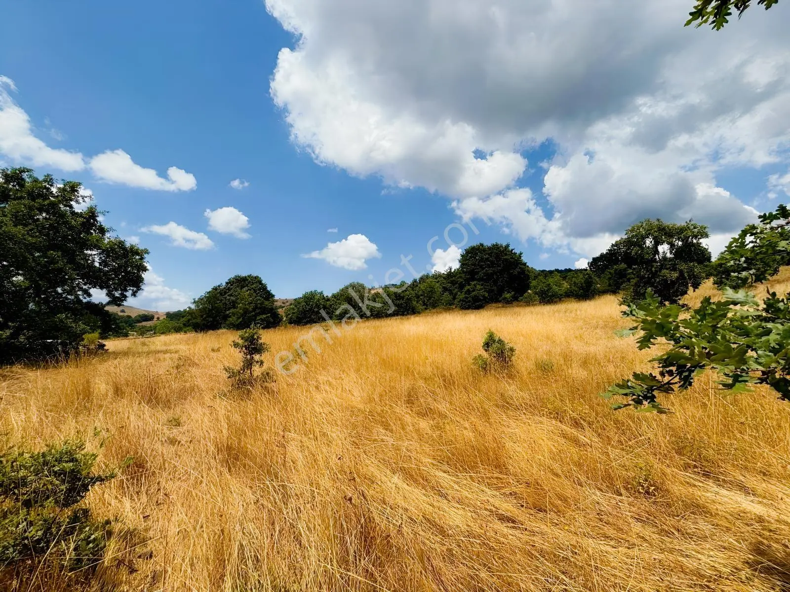 Rw Nova'dan Yola Cephe 4.183 M2 Harika Manzaralı Arazi — fotoğraf 6