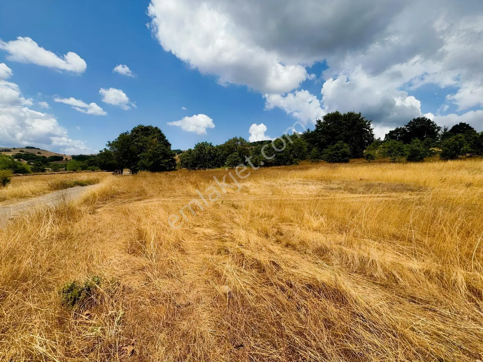Rw Nova'dan Yola Cephe 4.183 M2 Harika Manzaralı Arazi — fotoğraf 12